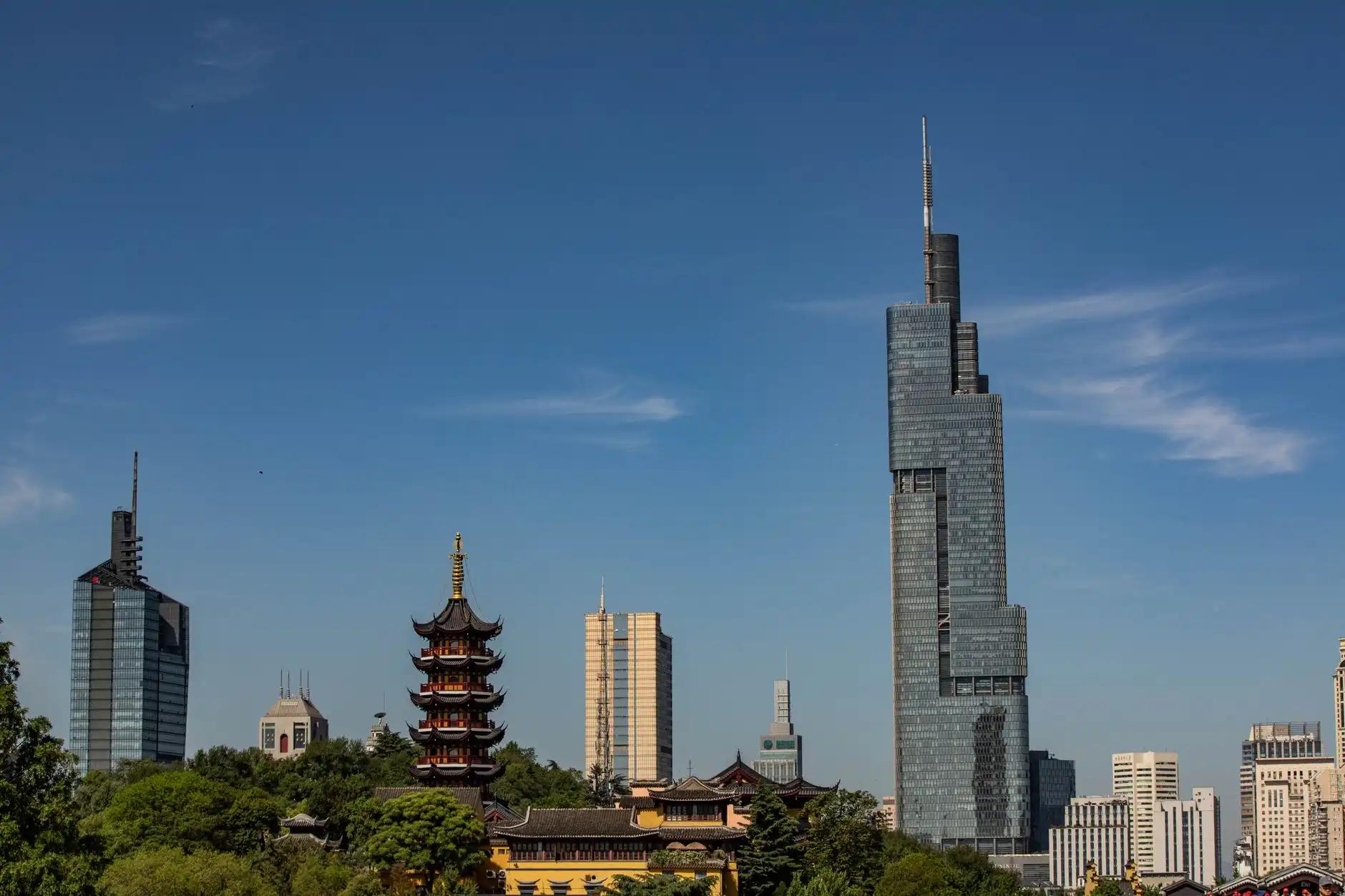 农业科技公司生态种植方案落地要点:以盐城丹顶鹤农业为例的实践分析